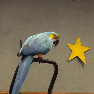 Meet your Posher, Sherry